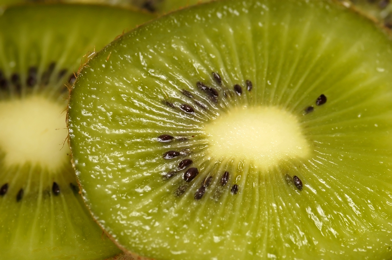 Gesunde Ernährung