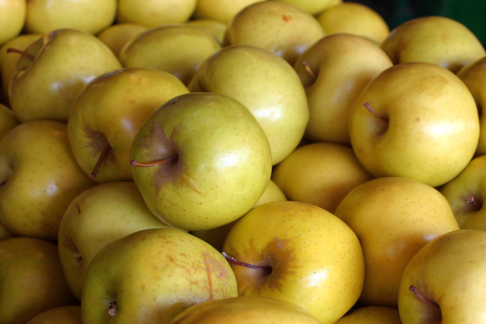 Frisches Gemüse